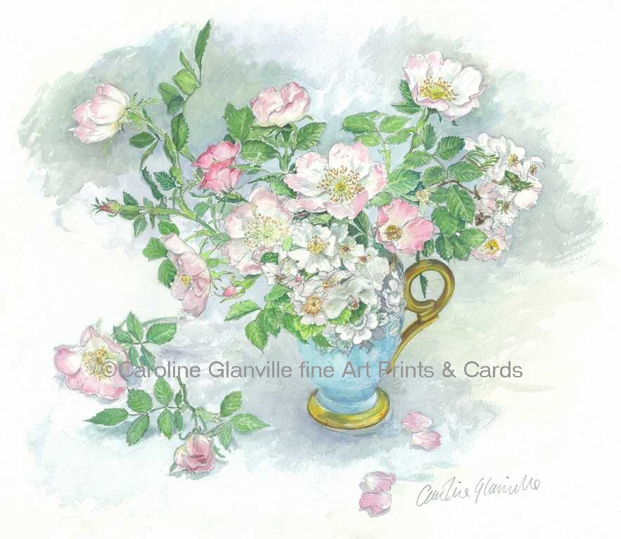wild roses in a jug, painting by Caroline Glanville